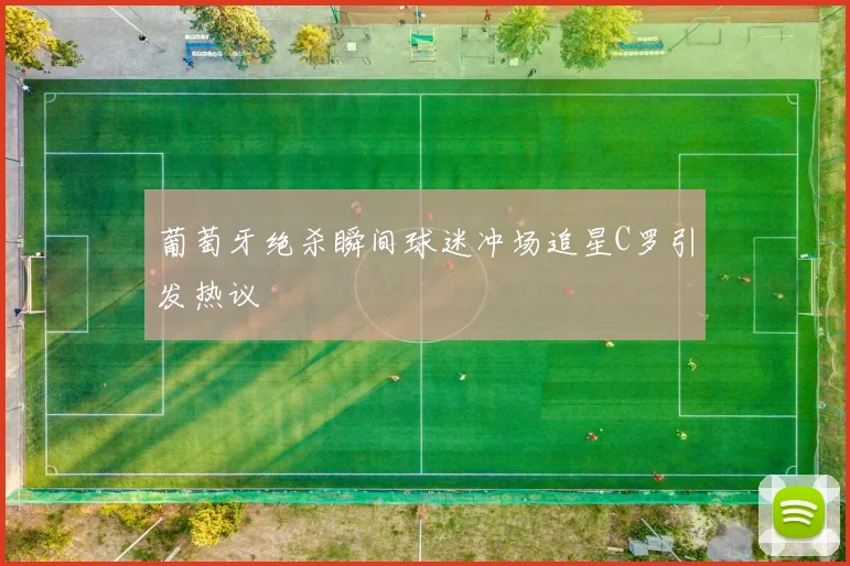 葡萄牙绝杀瞬间球迷冲场追星C罗引发热议